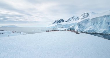 Antarktika kıyılarında yuva yapan penguenler. Deniz kuşları kolonisi karla kaplı tepe kayalarının üzerinde birlikte durur. Soğuk ortamda kutup penguenleri davranışları. Antarktika gezisi ve keşfi