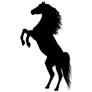 Drawing the black silhouette of standing horse on a white background clipart