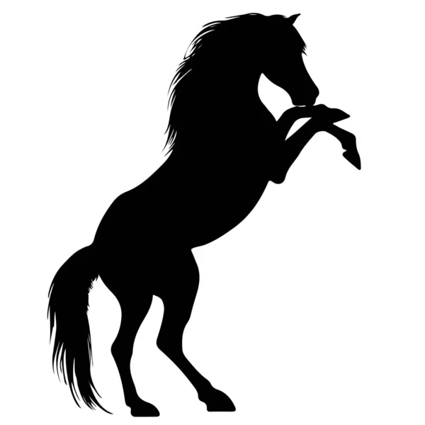 白い背景に立っている馬の黒いシルエットを描く — ストックベクタ