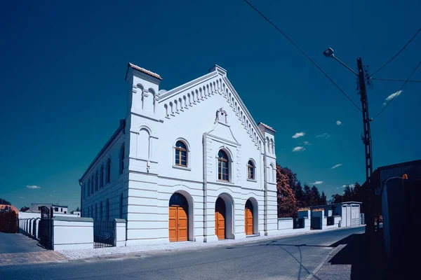 Synagogue Juive Buk Pologne Une Des Synagogues Les Mieux Conservées — Photo