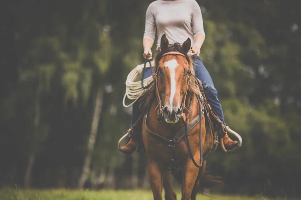 Bella Giovane Rossa Donna Con Suo Bel Cavallo Durante Suo — Foto Stock