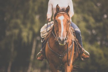 Güzel, genç, kızıl saçlı, güzel atıyla, en sevdiği boş zamanlarında