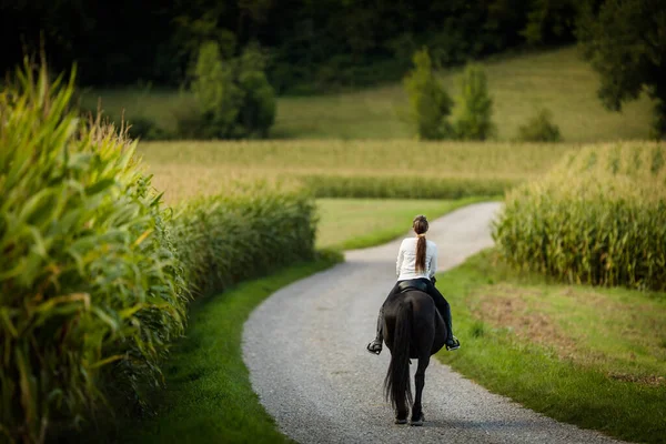Kvinnan Rider Häst Ridsport Fritid Ridning Koncept — Stockfoto