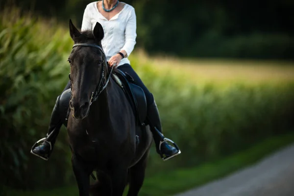 Mujer Montando Caballo Deportes Ecuestres Concepto Equitación Ocio — Foto de Stock