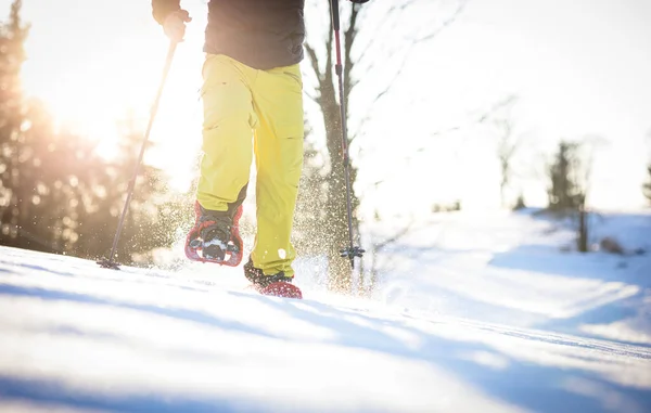Snowshoeing Χειμώνα Βαθύ Χιόνι Περπατώντας Στο Χιόνι Πεζοπορία Στα Βουνά — Φωτογραφία Αρχείου