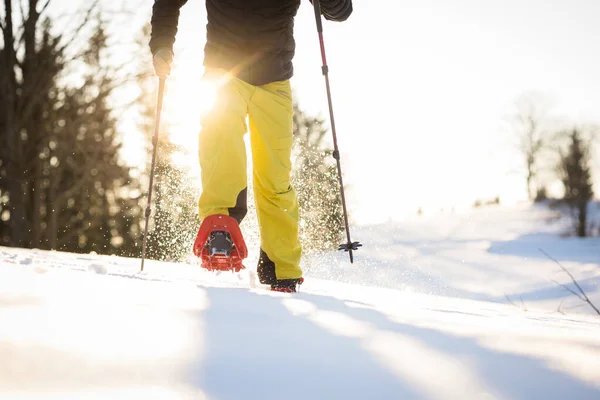 Kışın Derin Karda Kar Ayakkabısı Karda Yürüyorum Kışın Dağlarda Yürüyüş — Stok fotoğraf
