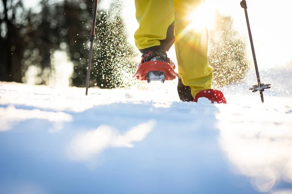 Raquetas Nieve Invierno Nieve Profunda Caminando Nieve Senderismo Las Montañas — Foto de Stock