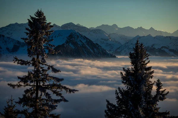 Splendido Scenario Apline Alte Montagne Con Nebbia Bella Luce Della — Foto Stock