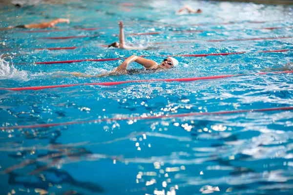 Kapalı Bir Yüzme Havuzunda Yüzücüler Emekleme Sığ Dof — Stok fotoğraf