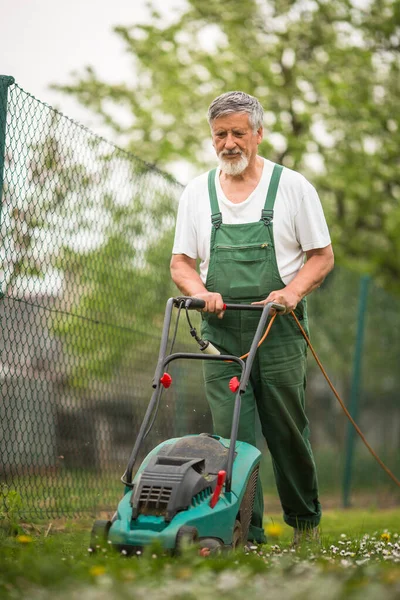 Uomo Anziano Giardinaggio Nel Suo Giardino Immagine Colori Tonica Prendersi — Foto Stock