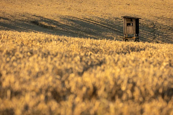 Wooden Hunting Tower Fields Hunter Hide High Watch Post — Stock Photo, Image