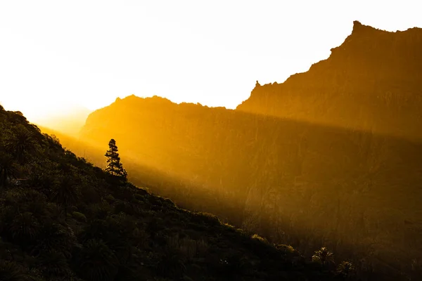 スペイン テネリフェ島のマスカバレーでの早朝 高解像度パノラマ画像 — ストック写真