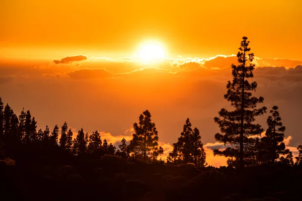Вершини Вулканів Тейде Піко Віджо Під Час Заходу Сонця Які — стокове фото