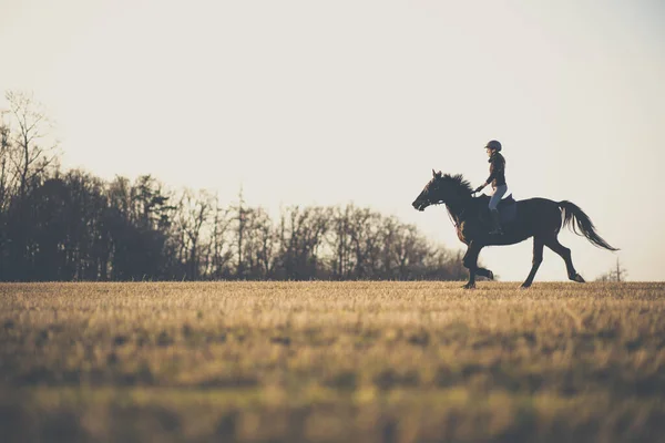 女性の馬に乗って屋外で彼女の美しい馬 — ストック写真