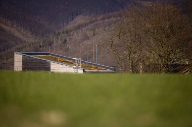 Yeşil bitkilerle izole edilmiş çatısı olan bir ev. Çevredeki manzaraya çok iyi uyuyor.