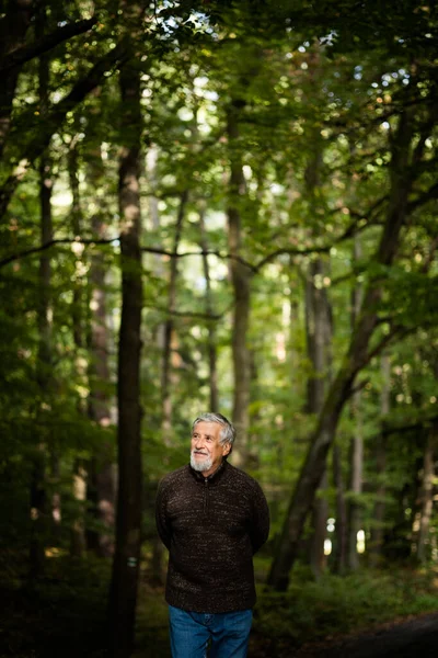 Anciano Caucásico Masculino Caminando Aire Libre Otoño Día Otoño —  Fotos de Stock