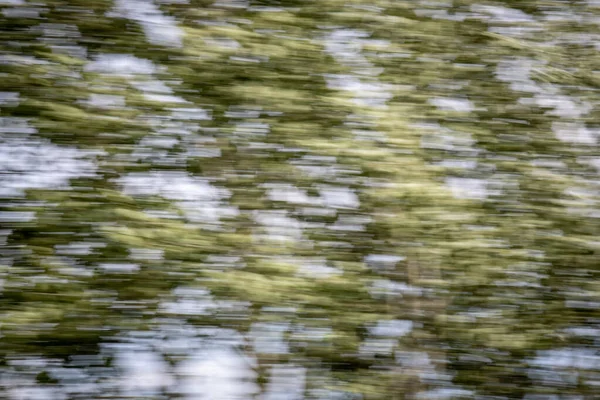 Speed Movement Being Visible Trees Passing Motion Blurred Imgae Trees — Stock Photo, Image