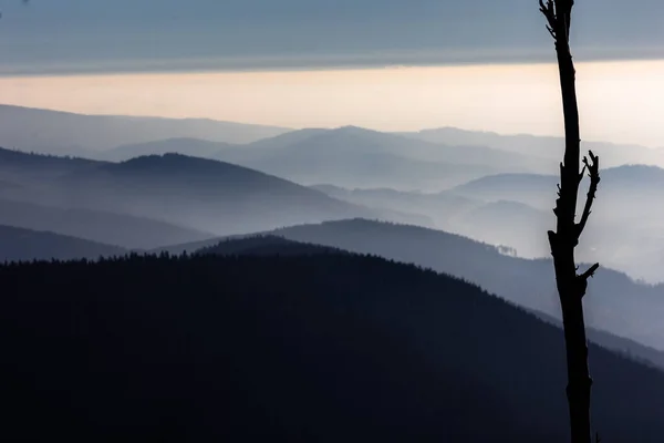 Górski Krajobraz Górski Wysokich Gór Gęstej Mgle Deszczową Pogodę Panorama — Zdjęcie stockowe