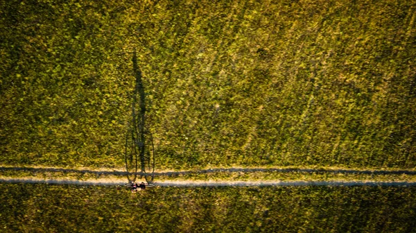 Luftbild Eines Radfahrers Auf Einem Mountainbike Inmitten Von Feldern Freien — Stockfoto