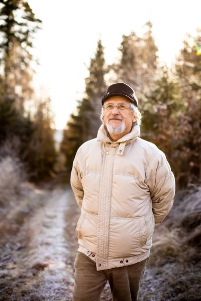 Happy Senior Man Walking Portrait Senior Man Forest Winter Day — Stock Photo, Image