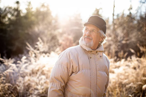 快乐的老人走在外面 冬日森林里老年人的画像 — 图库照片