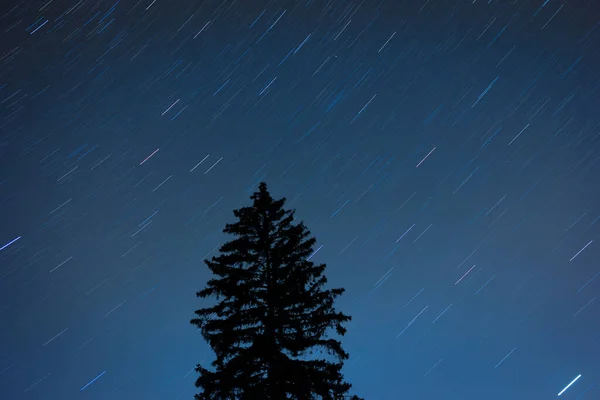 在深黑的松树冠之上 明亮的夜空群星映衬着森林的轮廓 森林之上的自然星空 夜景与深蓝戏剧化的天空与闪耀的星辰 — 图库照片