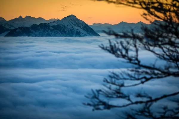 Espléndido Paisaje Apline Altas Montañas Con Niebla Hermosa Luz Noche —  Fotos de Stock