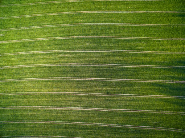 Tierras Cultivo Desde Arriba Imagen Aérea Campo Verde Exuberante — Foto de Stock