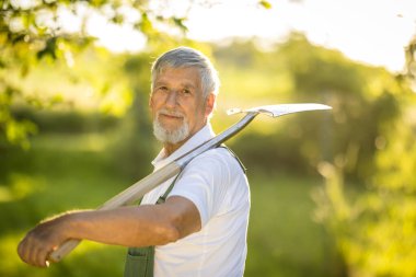 Permakültür bahçesinde bahçıvan bahçıvanı. Elinde kürek var.