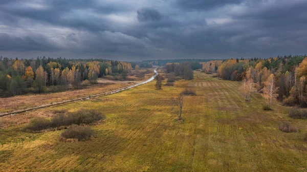 曇りの空の下で川や秋の森の横にある牧草地の一部を放棄 Bialowieza森林 ポーランド ヨーロッパ — ストック写真