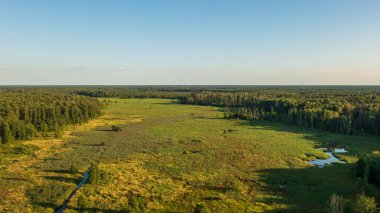 Günbatımı anteninde Lesna Nehri vadisi, Bialowieza Ormanı, Polonya, Avrupa