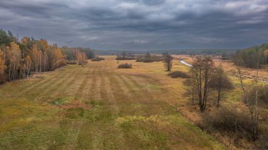 Kısmen terk edilmiş çayırların yanında nehir ve sonbahar ormanları bulutlu gökyüzü, Bialowieza Ormanı, Polonya, Avrupa