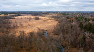 Günbatımı anteninde Lesna Nehri vadisi, Bialowieza Ormanı, Polonya, Avrupa