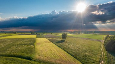 Gün batımında havadan ağaçlarla çevrili çayır, Podlasie Voyvoda, Polonya, Avrupa