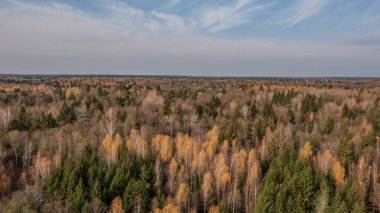 Hajnowka hava görüşü, Podlaskie Voyvodeship, Polonya ve Avrupa 'nın doğusunda yer alan Bialowieza Ormanı' nın Polonya kısmı