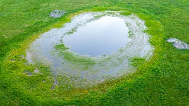 Springtime waterhole in fresh green meadow from drone, Podlaskie Voivodeship, Poland, Europe