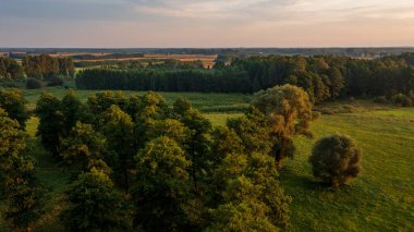 Orman ve tarlaların üzerinde renkli günbatımı günbatımı ışığı, Podlaskie Voyvodeship, Polonya, Avrupa