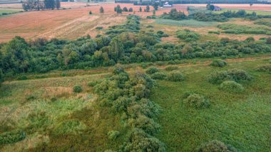 Günbatımında günbatımında orman ve tarlalar üzerinde gün batımı, Podlaskie Voyvodeship, Polonya, Avrupa