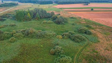 Günbatımında günbatımında orman ve tarlalar üzerinde gün batımı, Podlaskie Voyvodeship, Polonya, Avrupa