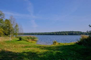 Yazın Goldap Gölü, kamış ve mavi gökyüzü, Polonya, Avrupa