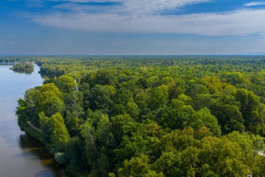 Tychy, Silezya Voyvodalığı, Polonya ve Avrupa yakınlarındaki Paprocanskie Gölü etrafındaki ormanların insansız hava aracı görüntüsü