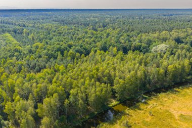 Tychy, Silezya Voyvodalığı, Polonya ve Avrupa yakınlarındaki Paprocanskie Gölü etrafındaki ormanların insansız hava aracı görüntüsü