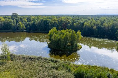 Açık bir sonbahar günü Tychy yakınlarındaki Paprocanskie Gölü 'nün insansız hava aracı görüntüsü ve önplandaki sığ ada, Silezya Voyvoda, Polonya, Avrupa