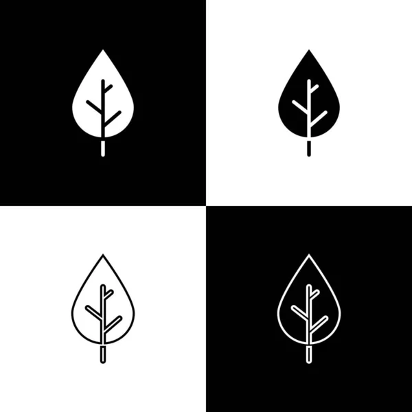Установите Значок Leaf Изолированным Черно Белом Фоне Символ Свежего Натурального — стоковый вектор