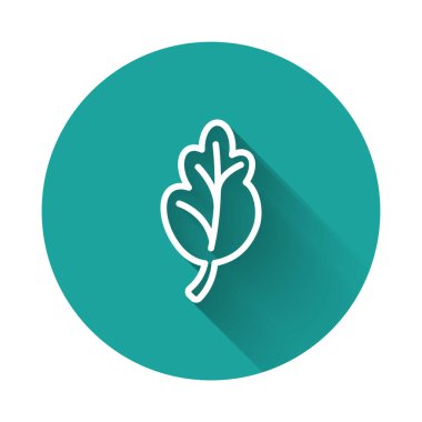 Beyaz çizgi Kore kimchi 'si, uzun gölge arkaplan izole edilmiş lahana ikonu. Yeşil daire düğmesi. Vektör