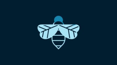 White Bee icon isolated on blue background. Sweet natural food. Honeybee or apis with wings symbol. Flying insect. 4K Video motion graphic animation.