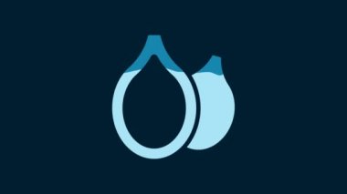 White Pumpkin seeds icon isolated on blue background. 4K Video motion graphic animation.