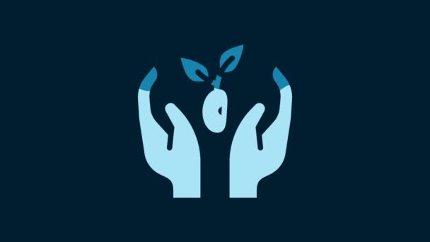 White Plant Hand Environmental Protection Icon Isolated Blue Background Seed — Stok video