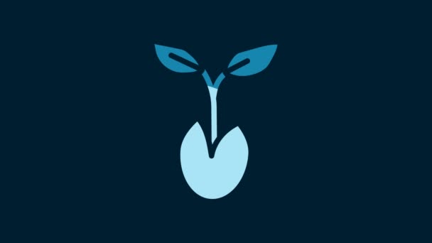 White Sprout Icon Isolated Blue Background Seed Seedling Leaves Sign — Vídeo de stock
