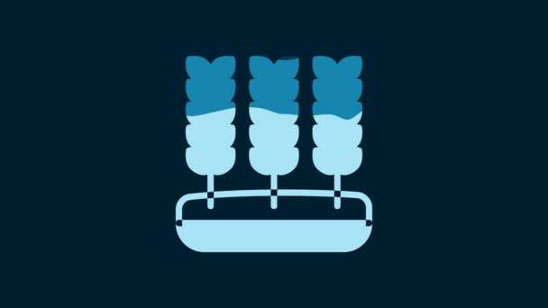 トウモロコシ オート麦 ライ麦 大麦のアイコンが青の背景に隔離されたセットホワイトセリアル 小麦パンのシンボルの耳 4Kビデオモーショングラフィックアニメーション — ストック動画